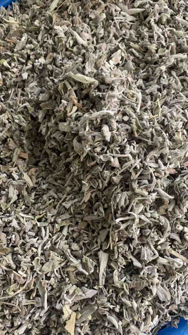 批发鼠尾草50斤/件统货带梗20元/斤***********