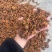 批发八角茴香大料过筛箱装足干水烫无硫***********