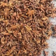 批发八角茴香大料过筛箱装足干水烫无硫***********
