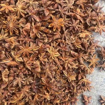 批发八角茴香大料过筛箱装足干水烫无硫***********