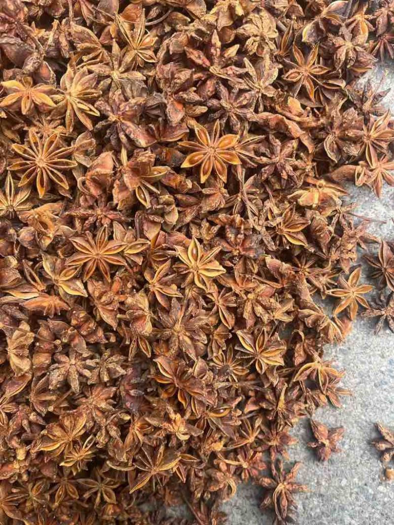 批发八角茴香大料过筛箱装足干水烫无硫***********