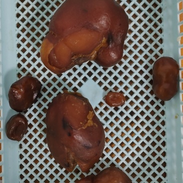 天然鸡宝