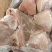 猪前肘子