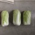 北京三号白菜