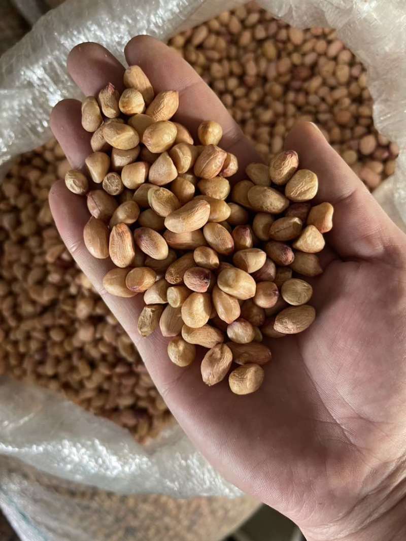 白沙精选米，鲁花精选米，商品米，电商米，油料米