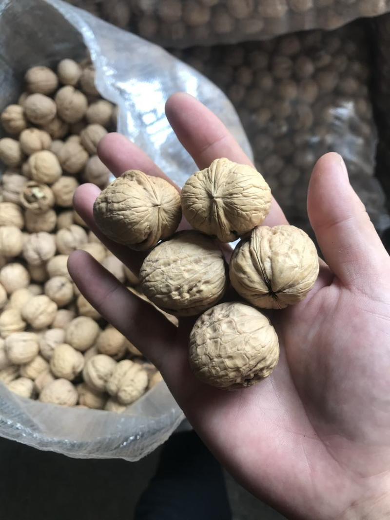 薄皮核桃，新疆核桃，山东核桃，纸皮核桃，香玲核桃