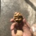 薄皮核桃，新疆核桃，山东核桃，纸皮核桃，香玲核桃