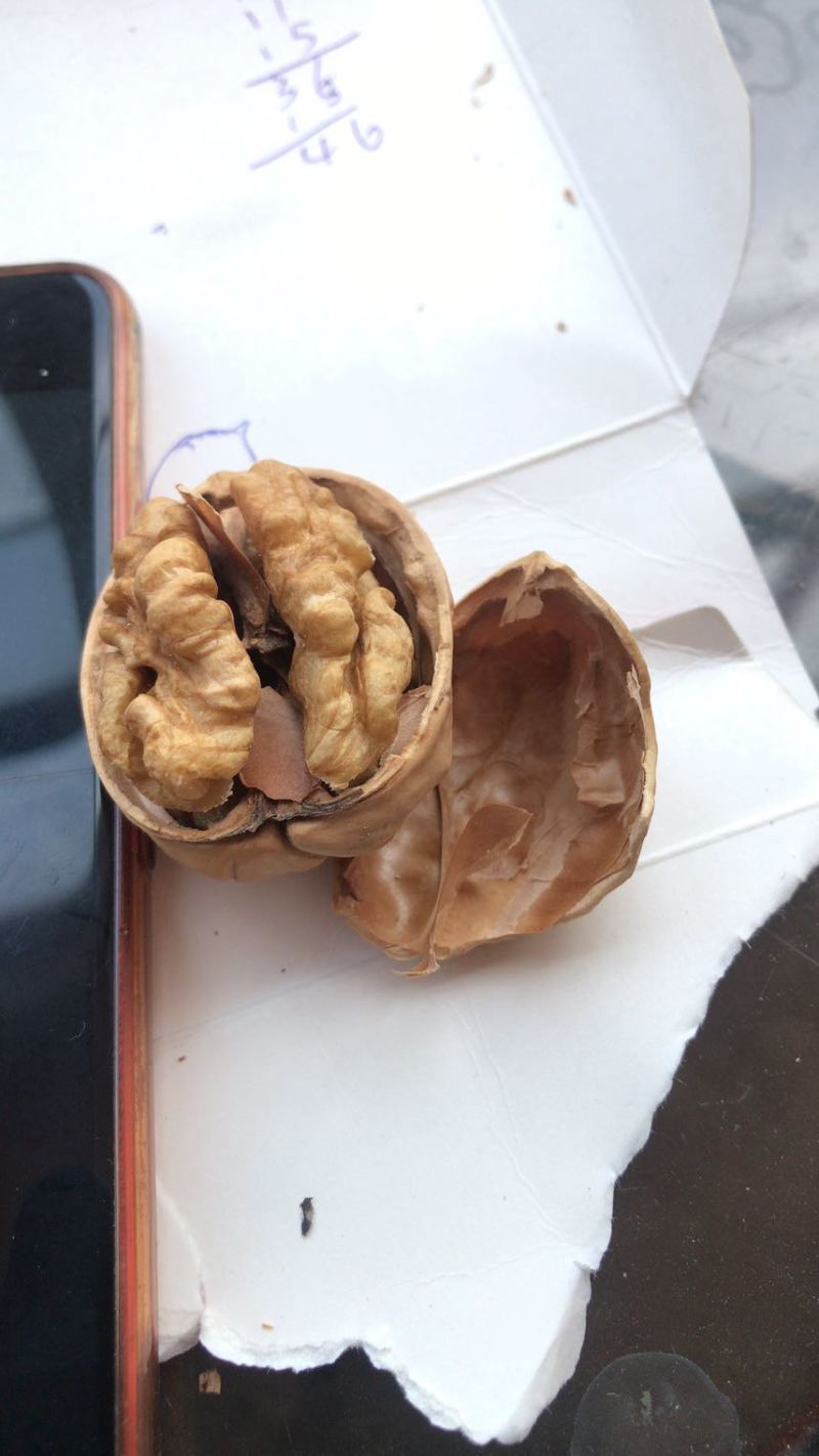 薄皮核桃，新疆核桃，山东核桃，纸皮核桃，香玲核桃