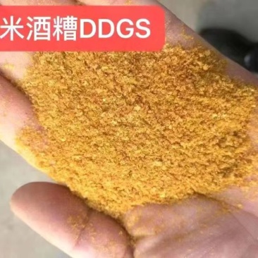 玉米酒糟DDGS