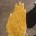 玉米酒糟DDGS