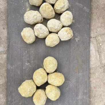 河南变蛋周口正宗五香变蛋皮蛋无铅变蛋糖心蛋松花支持一件玳发