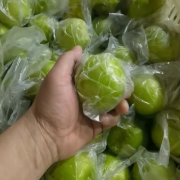 福建青枣牛奶枣台湾蜜枣雪梨脆蜜