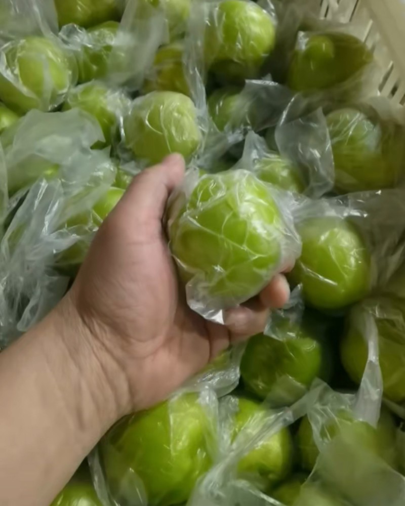 福建青枣牛奶枣台湾蜜枣雪梨脆蜜