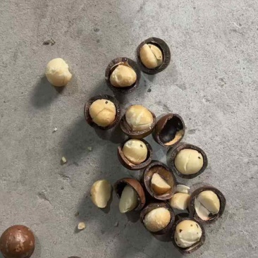 夏威夷果