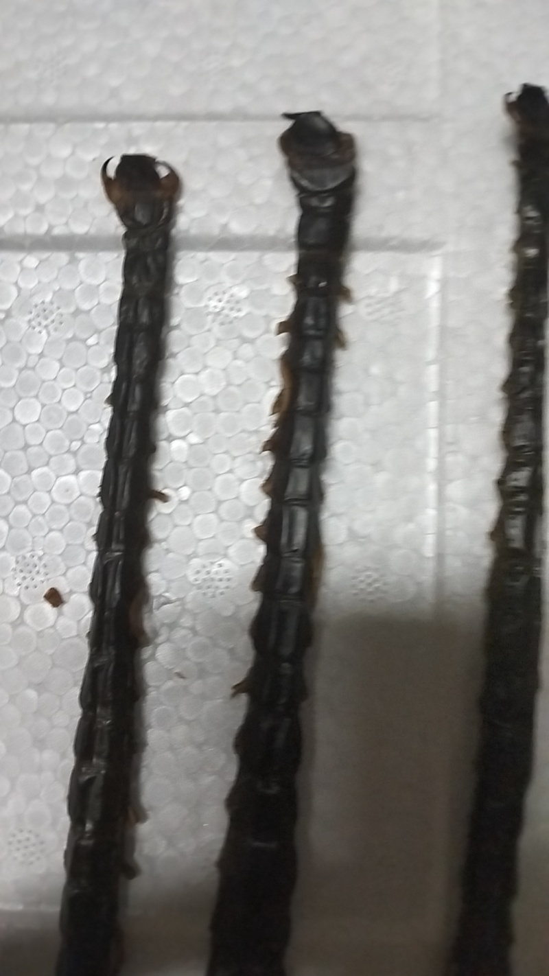 干蜈蚣，有需要的老板请联系。