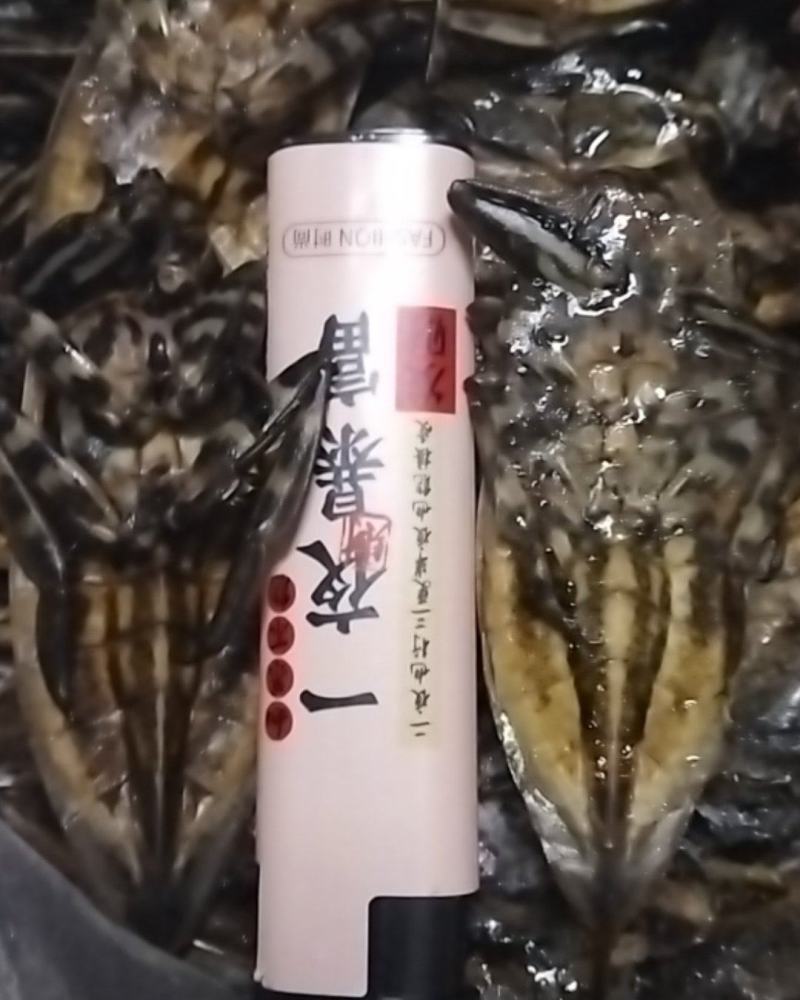 美味大花蝉，有需要的老板请联系。