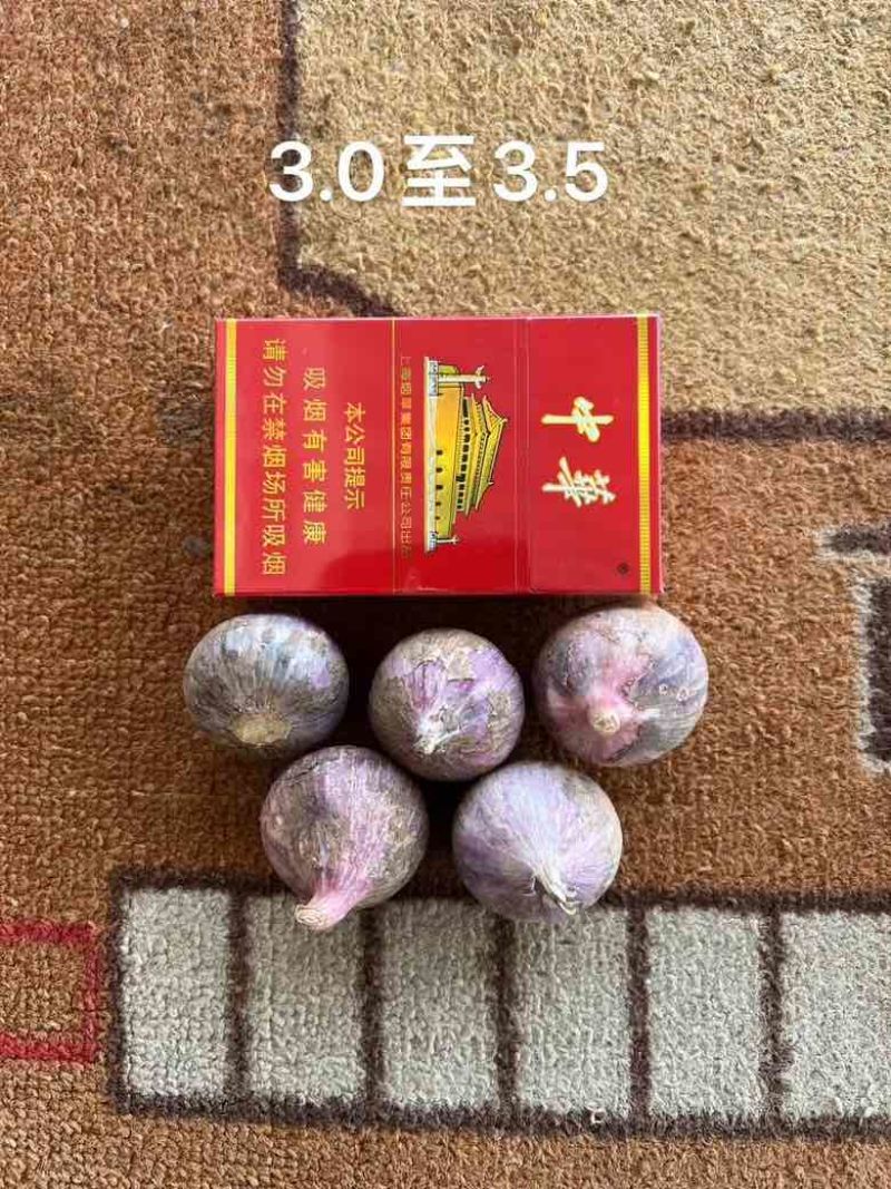 实力代办代收，0.1代办费。新鲜独头蒜2025年新货
