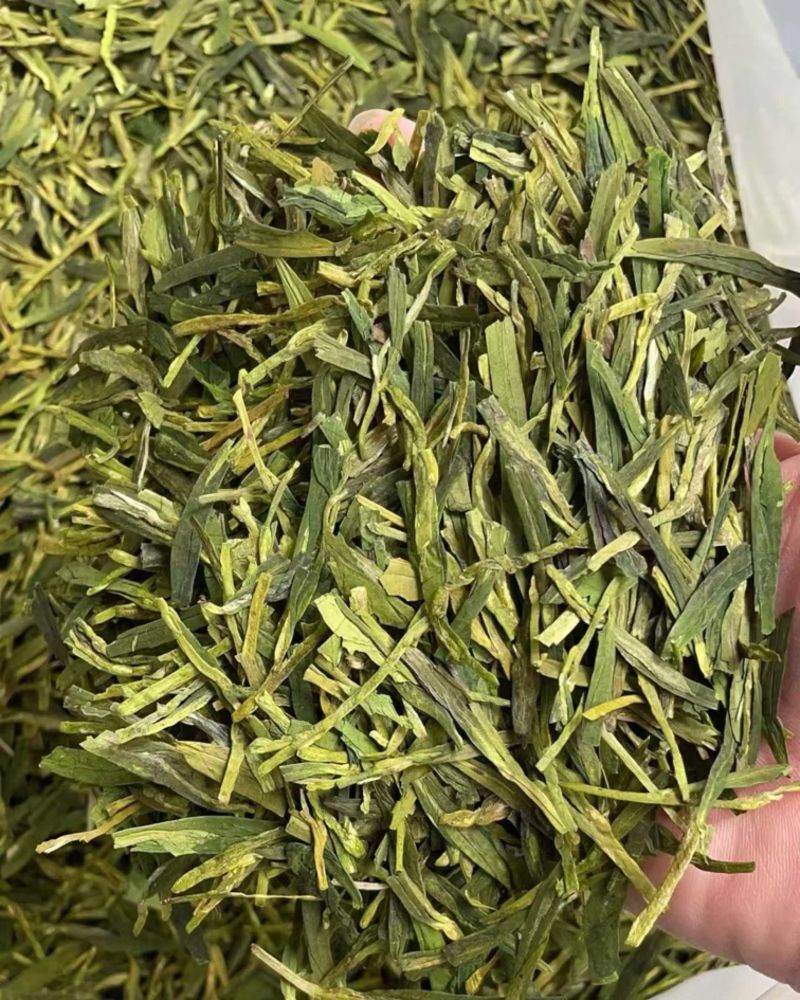 2024秋季龙井茶