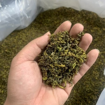 手工黄金芽