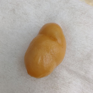 鸡黄