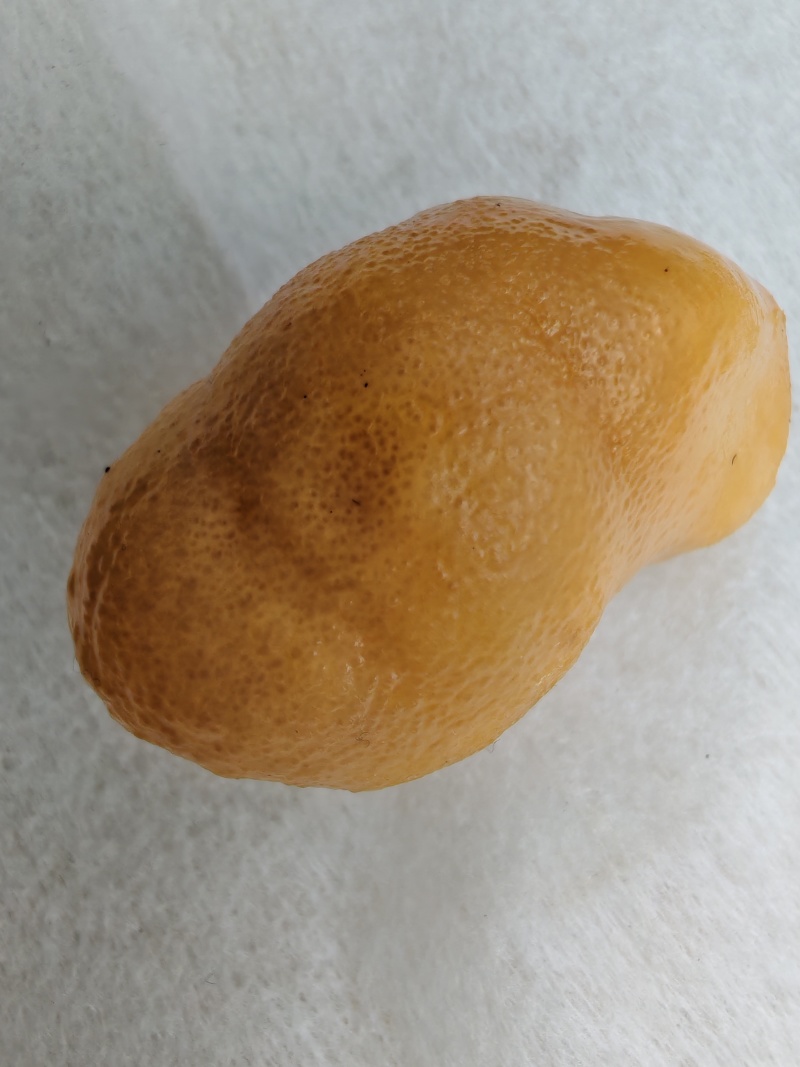 鸡黄