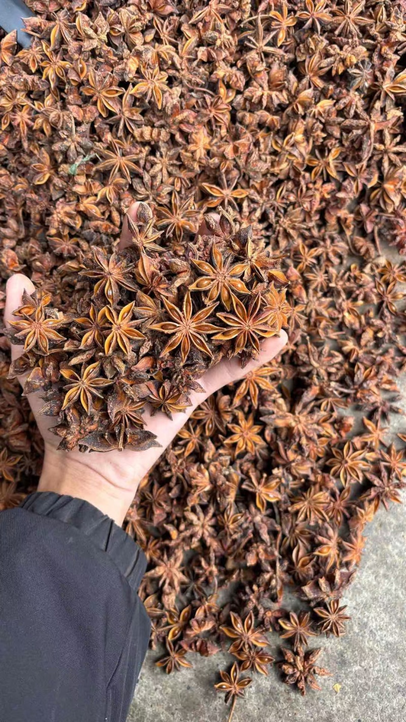 潮货八角，七个干，八个干，九个干，电商货