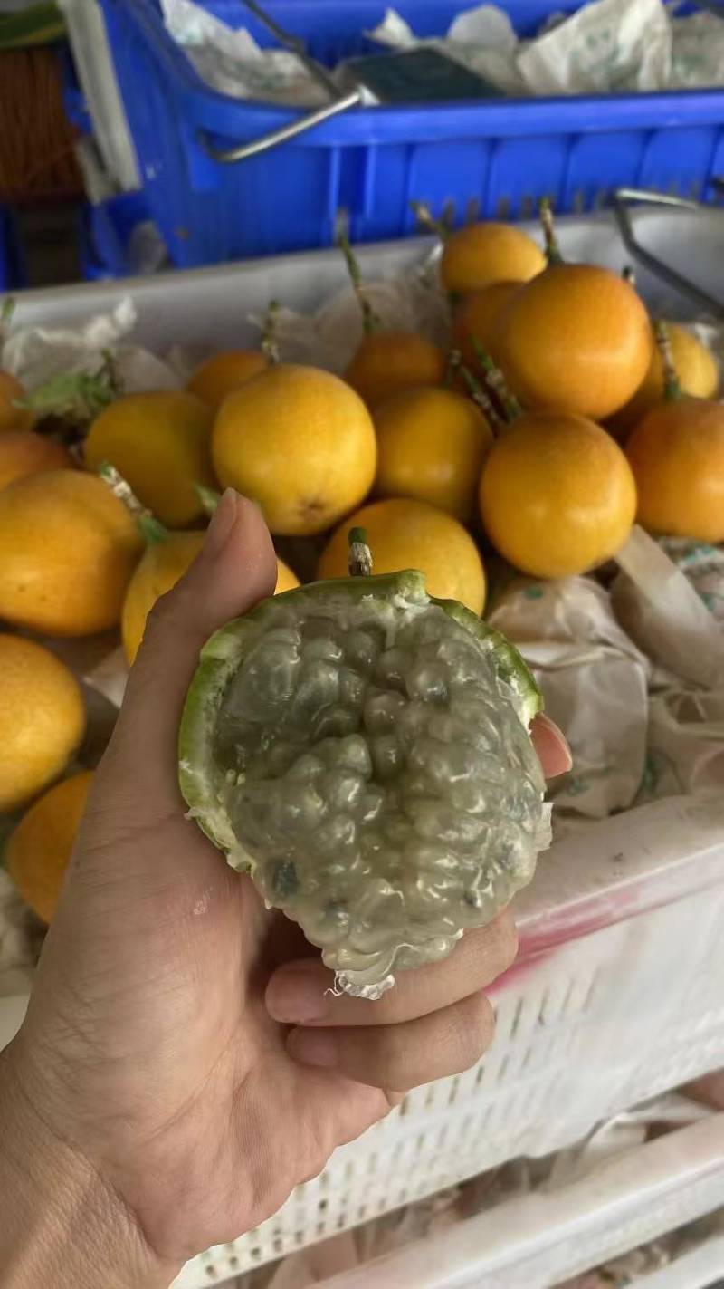 哥伦比亚热情果批发，一级二级三级果接一件代发订单！
