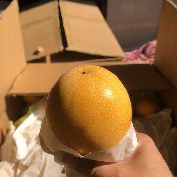 哥伦比亚热情果批发，一级二级三级果接一件代发订单！