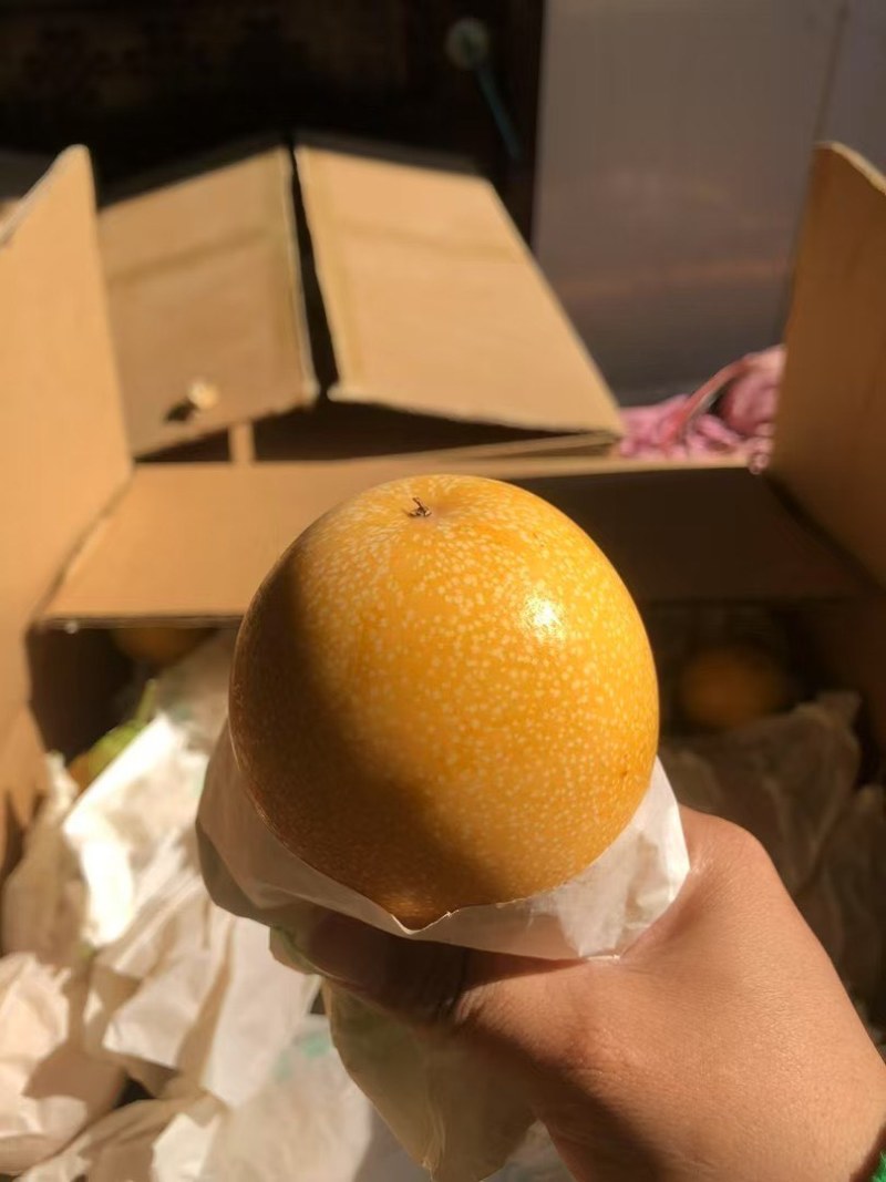 哥伦比亚热情果批发，一级二级三级果接一件代发订单！