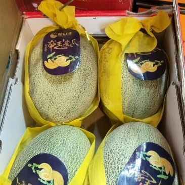 25号小蜜瓜