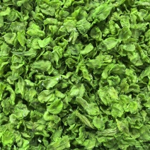 脱水蔬菜莴苣