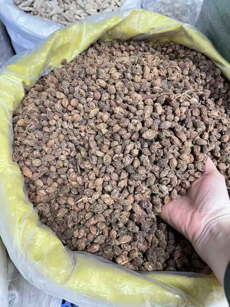 批发海南益智仁无硫磺好货***********一件100斤