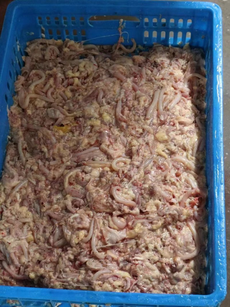 碎肉肉食饲料