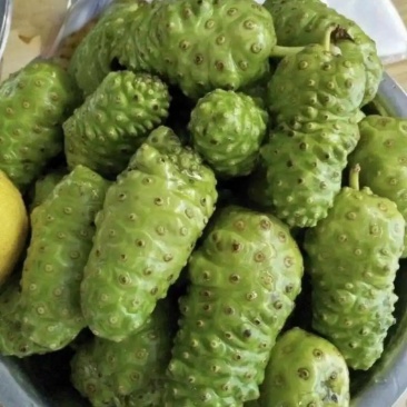 诺丽果