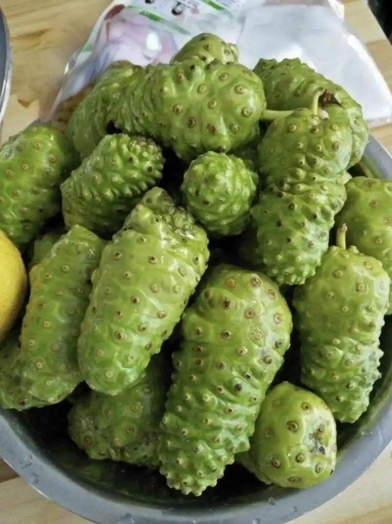 诺丽果