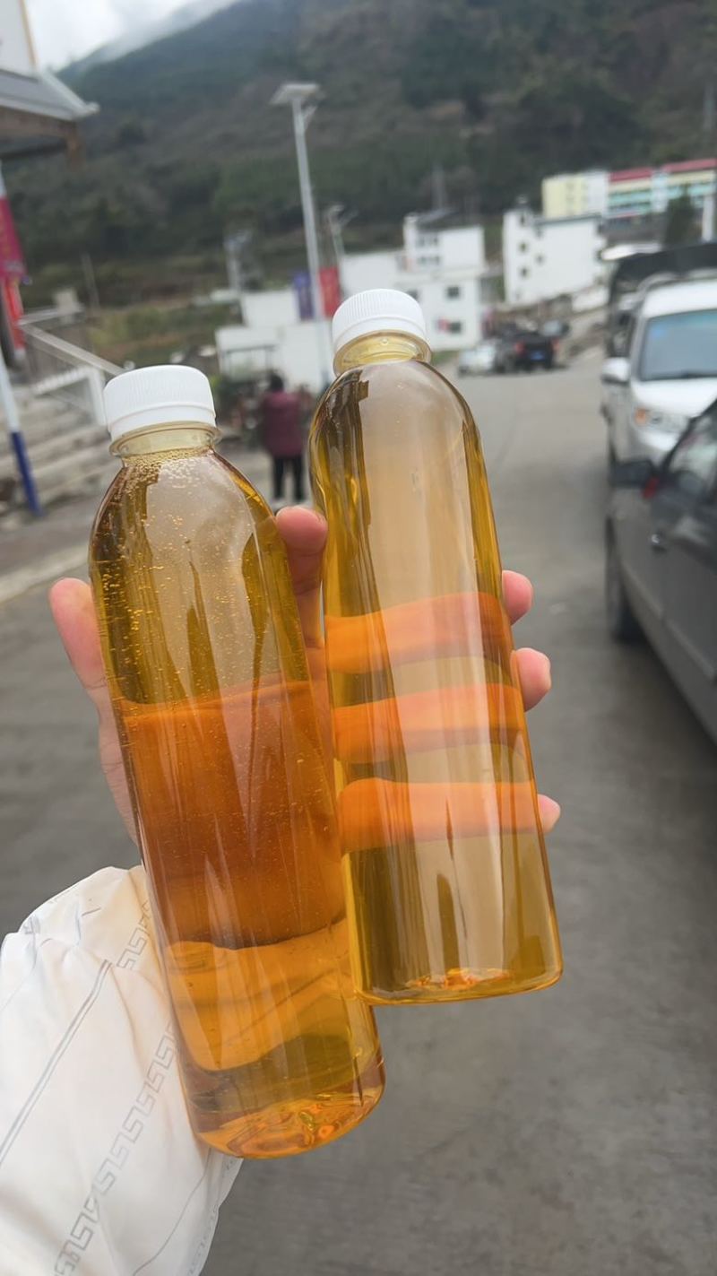 老树山茶油，山上几十年老品种的山茶树，可寄样品可上门参观