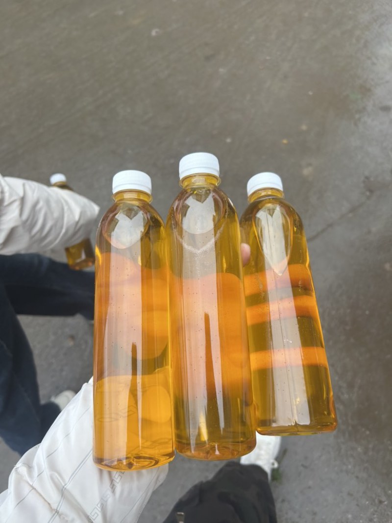 老树山茶油，山上几十年老品种的山茶树，可寄样品可上门参观