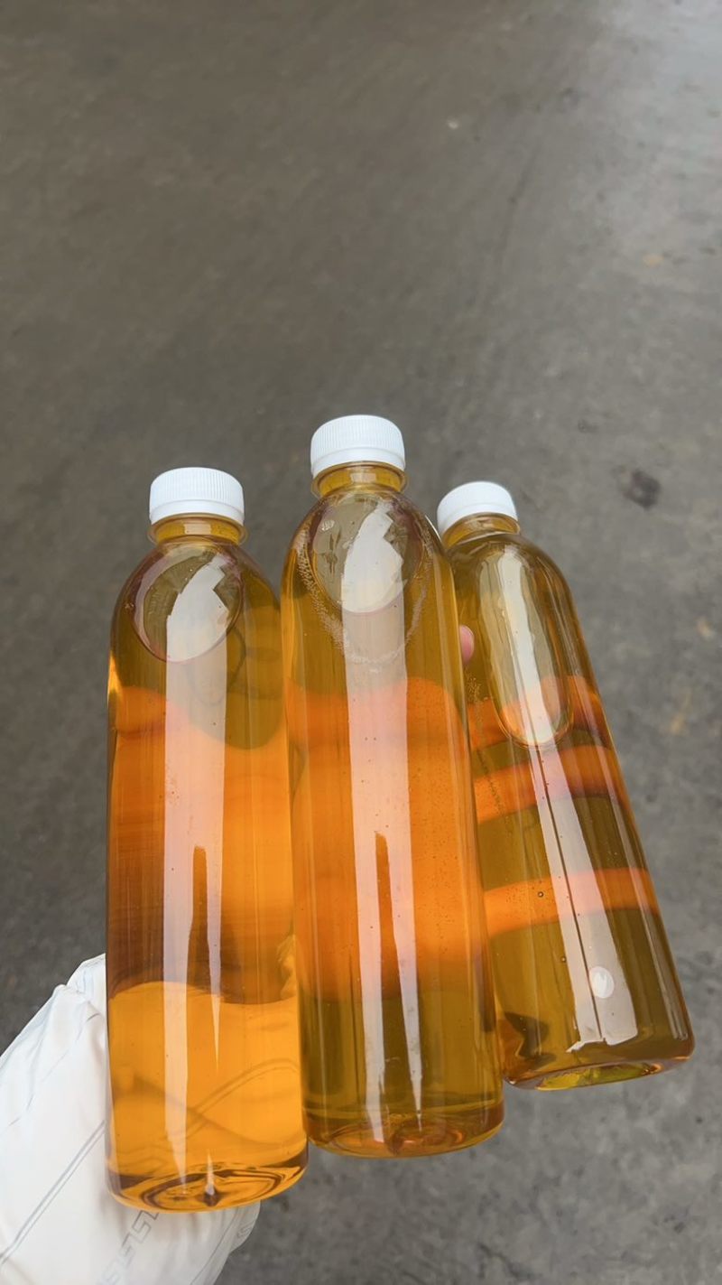 老树山茶油，山上几十年老品种的山茶树，可寄样品可上门参观