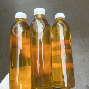 老树山茶油，山上几十年老品种的山茶树，可寄样品可上门参观