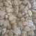 无沙大黄蚬子，一斤21到23个头，价格便宜，想吃的来找我