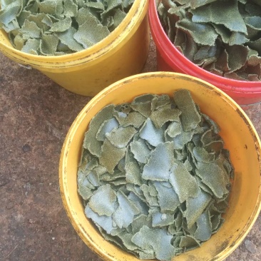 青枯油枯出货，10000起发，2600一吨