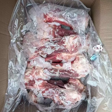 母猪后棒骨