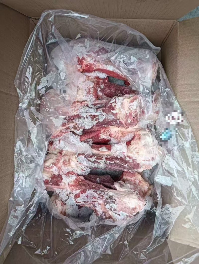 母猪后棒骨