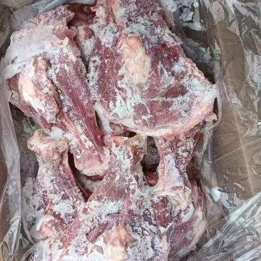 母猪扇骨