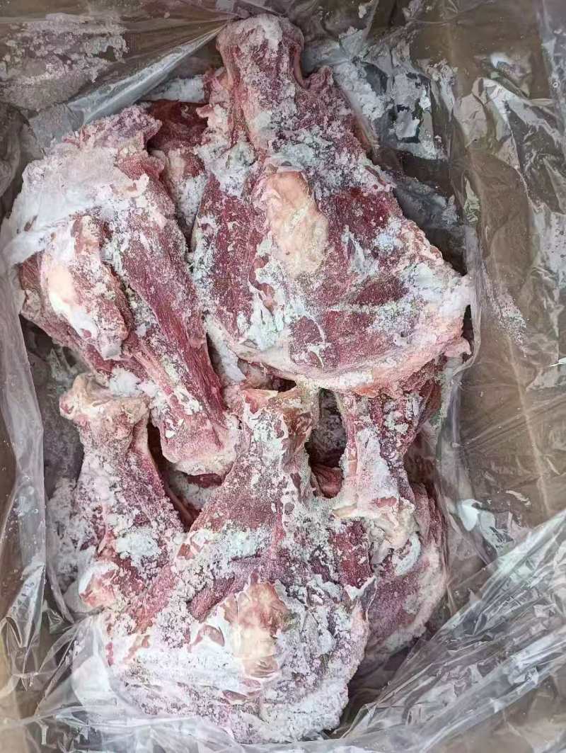 母猪扇骨