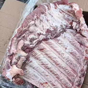 母猪通排