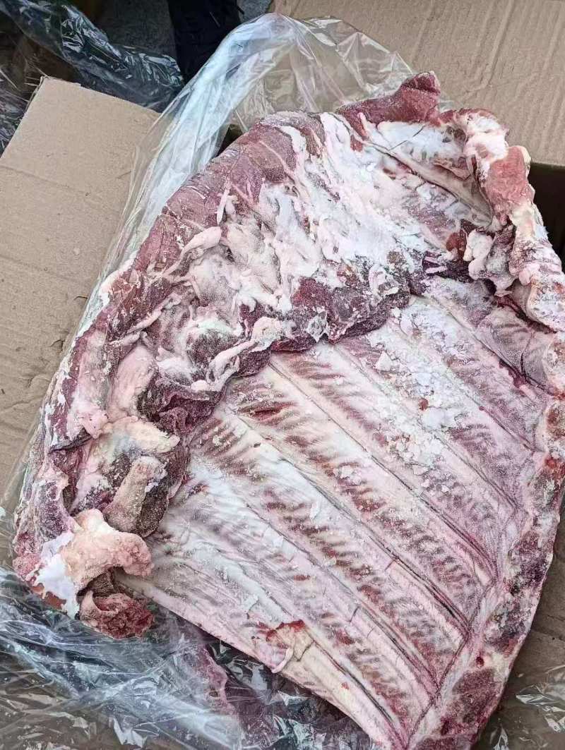 母猪通排
