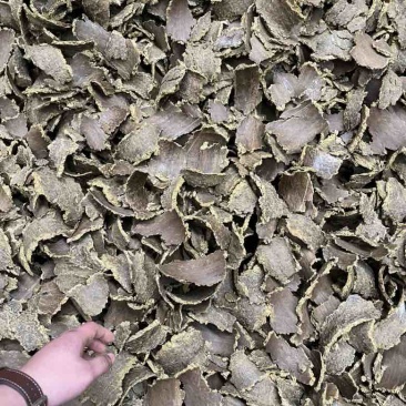 菜籽饼棉饼上地专用有效锁水提高产量提升