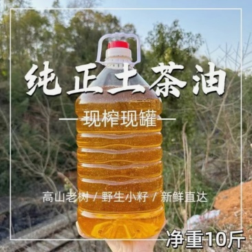正宗山茶油野生种植土茶油纯正山茶籽油自榨农家特产茶树油护肤