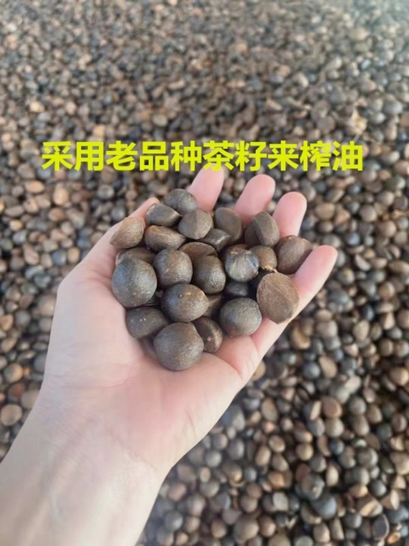 正宗山茶油野生种植土茶油纯正山茶籽油自榨农家特产茶树油护肤